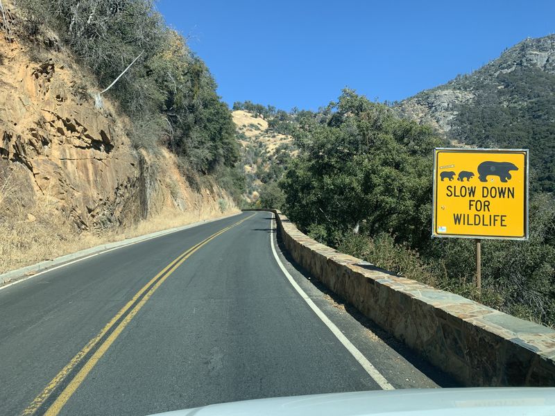 Мототур по США с Рус Мото Тревел, Южный Маршрут