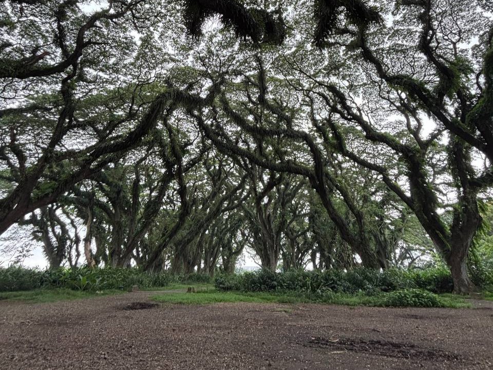 Мототур Индонезия Бали Ява