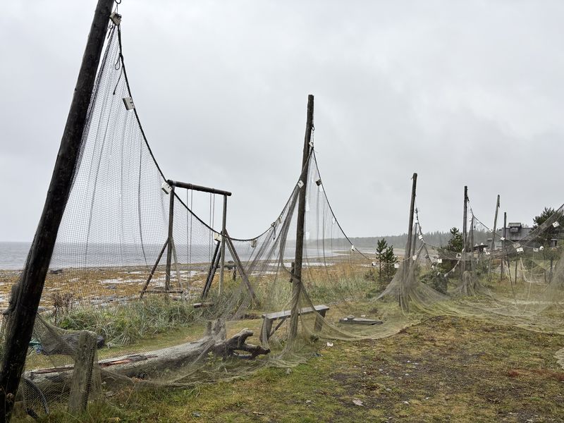 Мототур на Кольский Полуостров с Рус Мото Тревел, Белое и Баренцево моря, киты в Териберке, Беломорские мидии, Ловозерские 