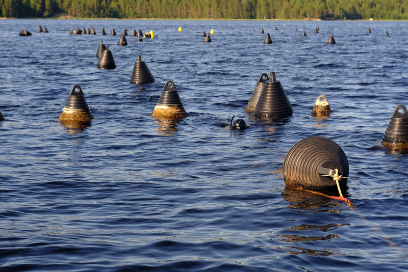 Мототур на Кольский Полуостров с Рус Мото Тревел, Белое и Баренцево моря, киты в Териберке, Беломорские мидии, Ловозерские 