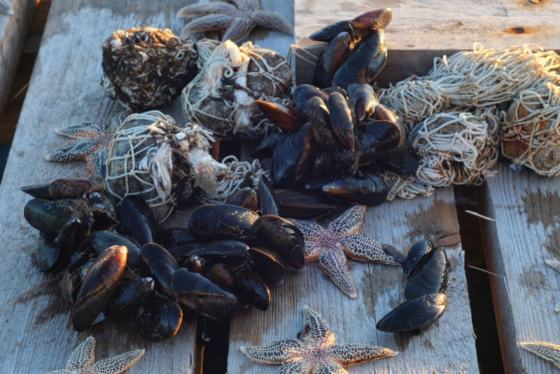 Мототур на Кольский Полуостров с Рус Мото Тревел, Белое и Баренцево моря, киты в Териберке, Беломорские мидии, Ловозерские 