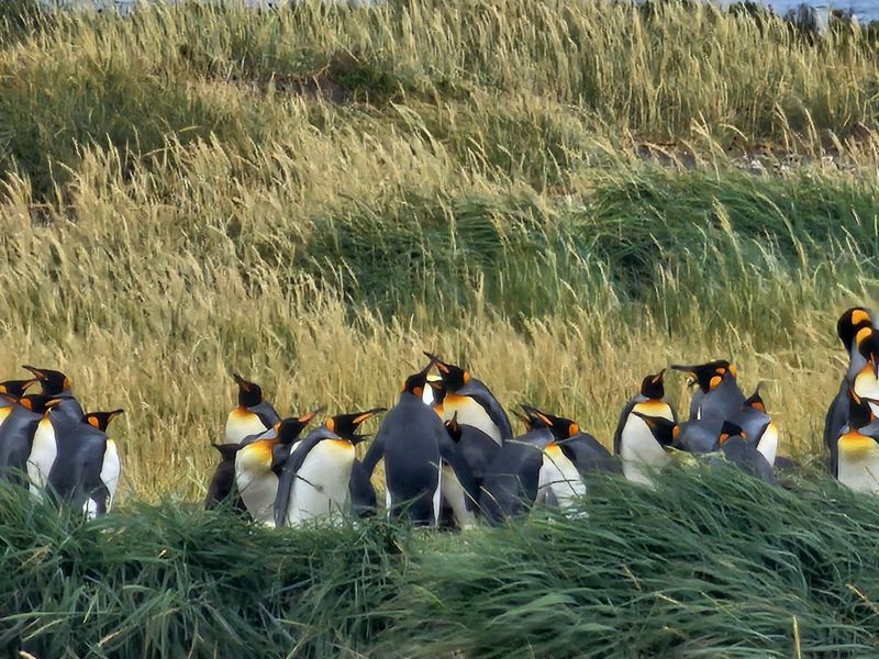 Patagonia 2024 second motorcycle tour with Rusmototravel